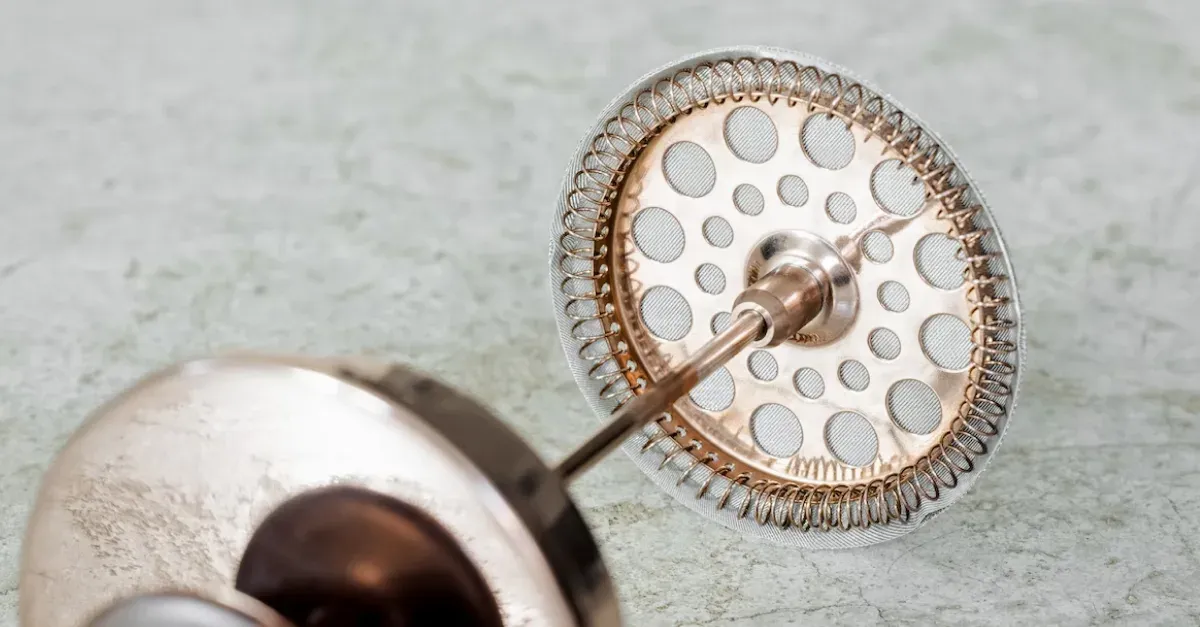 An example of a french press filter