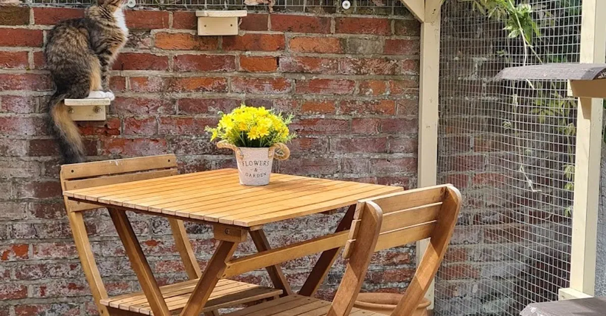 Paws For Thought Cat Cafe