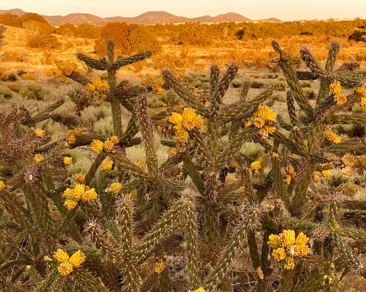 Sunset over Santa Fe Mountains