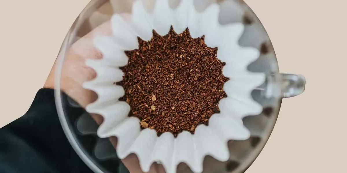 Coffee grinds sitting in a filter