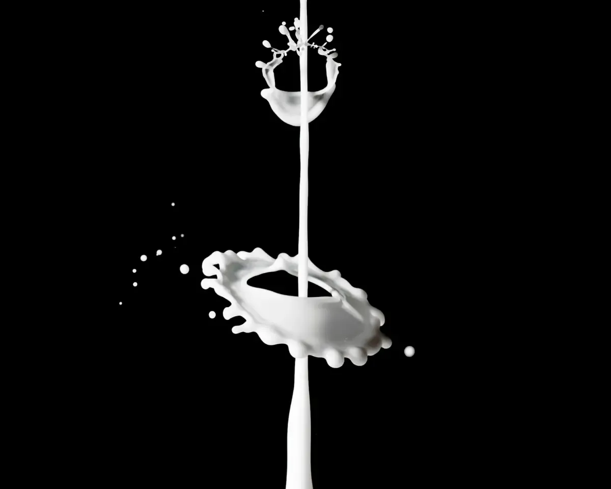 A drop of milk splashing with a black background