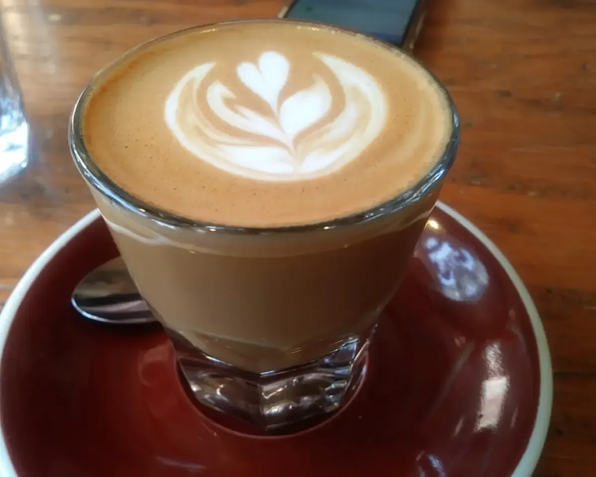 Cup of cortado from Habit Coffee shop