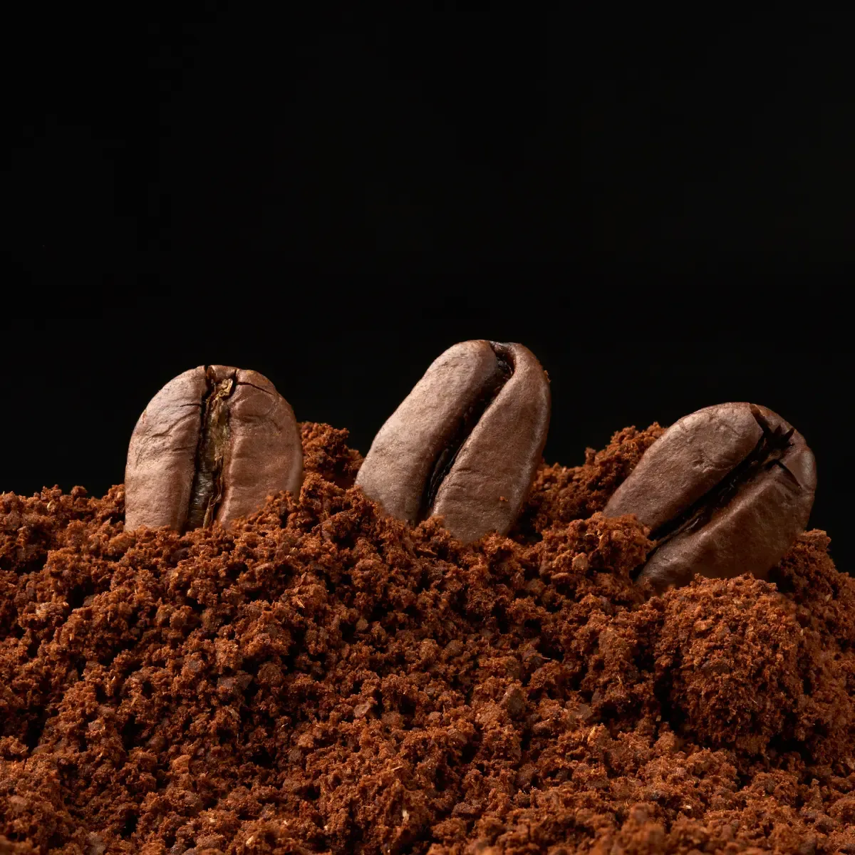 Detail shot of coffee beans