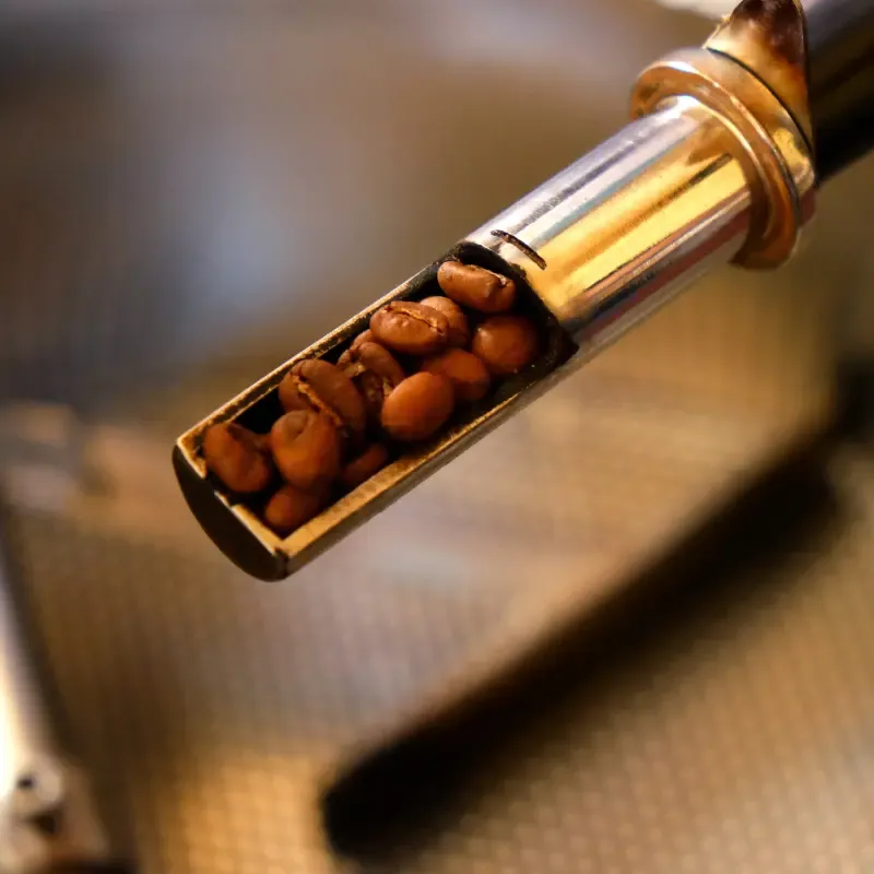 Beans from a roasting machine