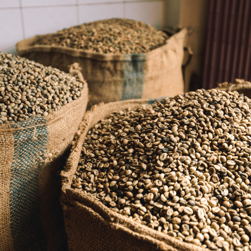 Coffee beans in burlap bags