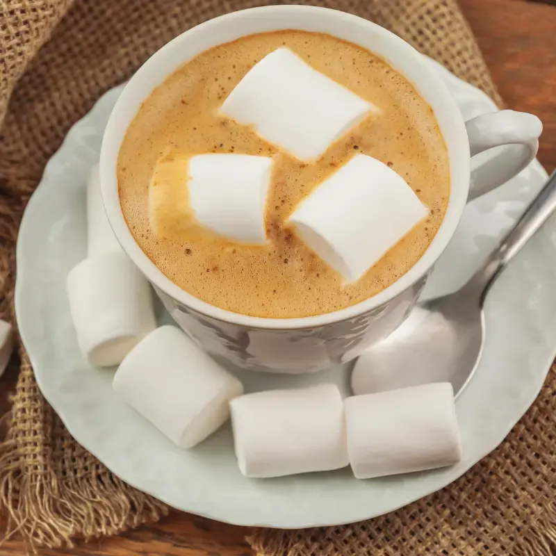 Toasted Marshmallow Mocha with marshmallows on the side