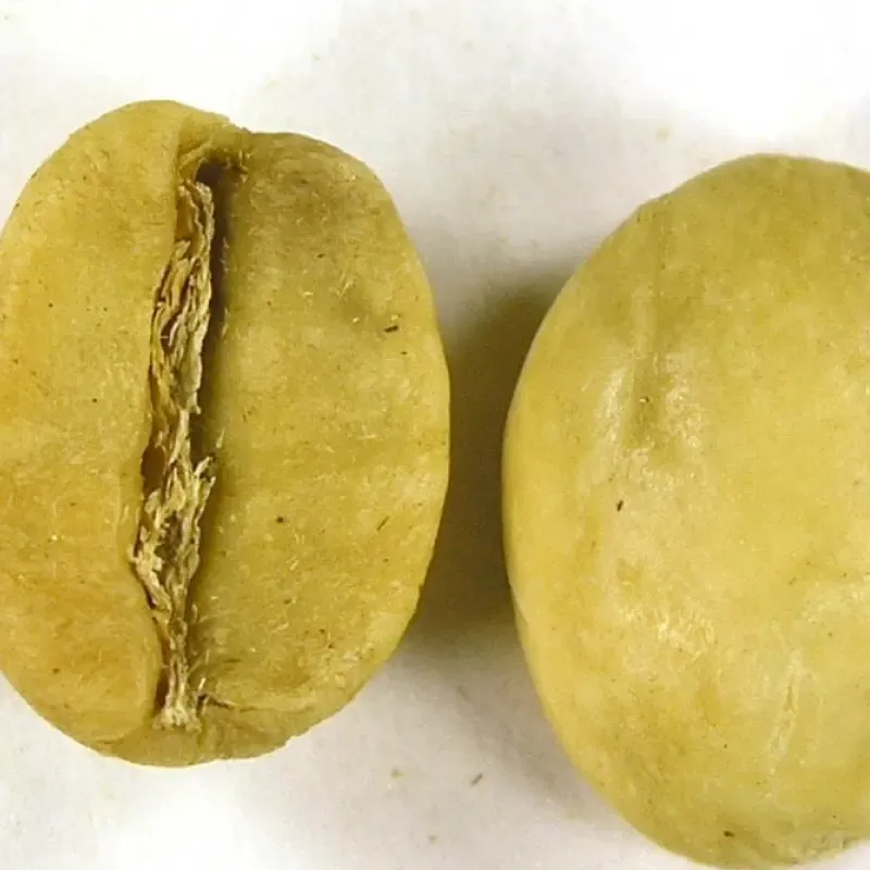 White Roast Coffee Bean