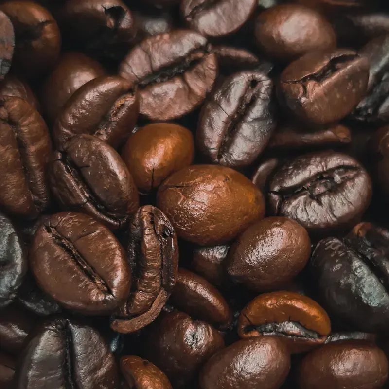 Dark Roasted Coffee Beans
