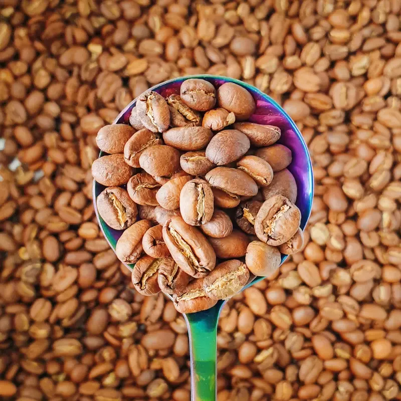 Gold Roast Coffee in a spoon