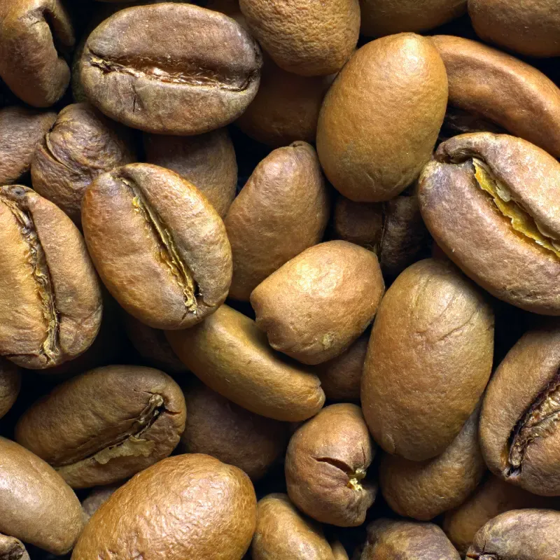 close up on light roasted beans