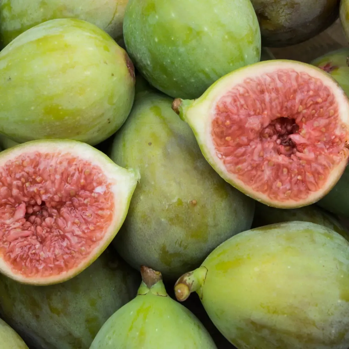 Figs