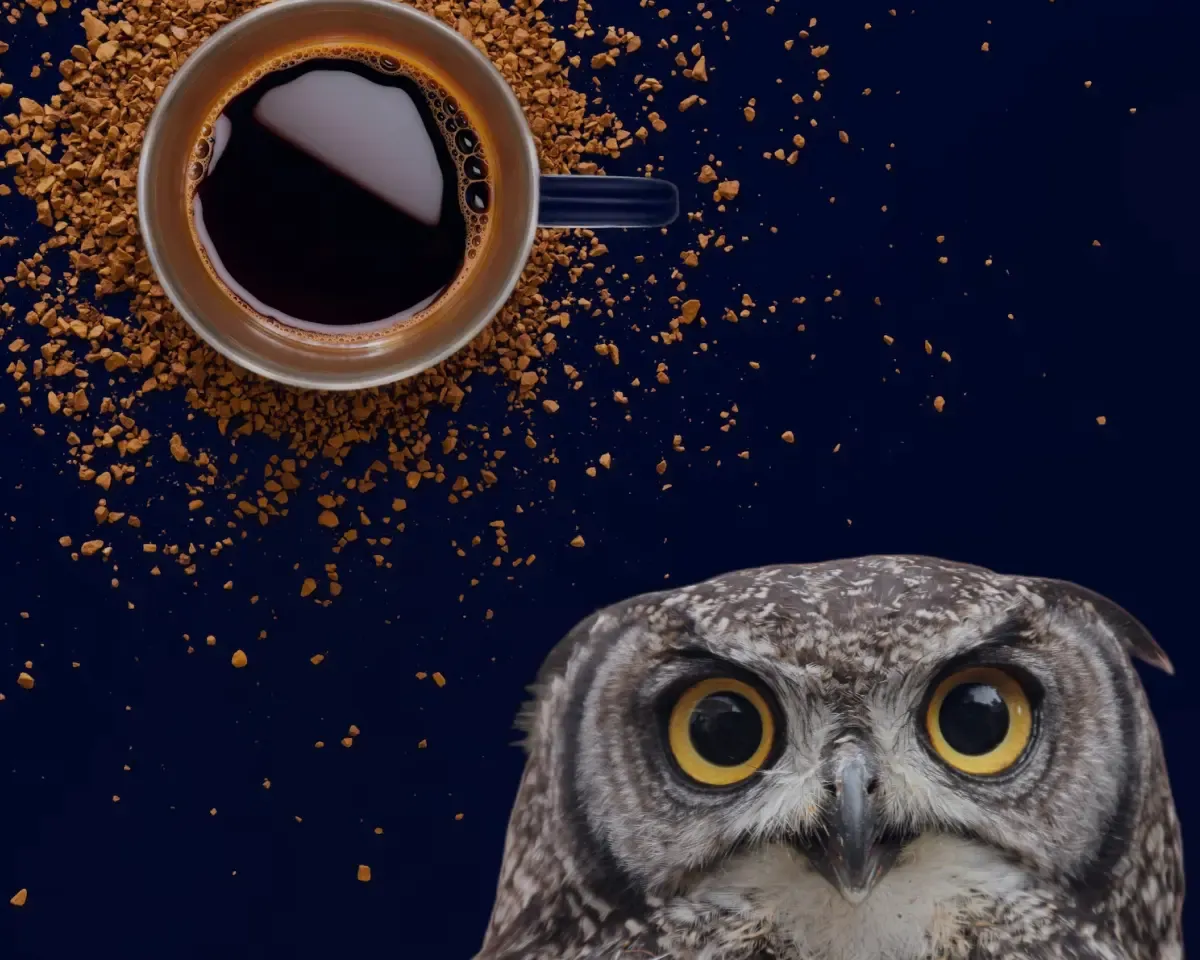 Owl beside a coffee