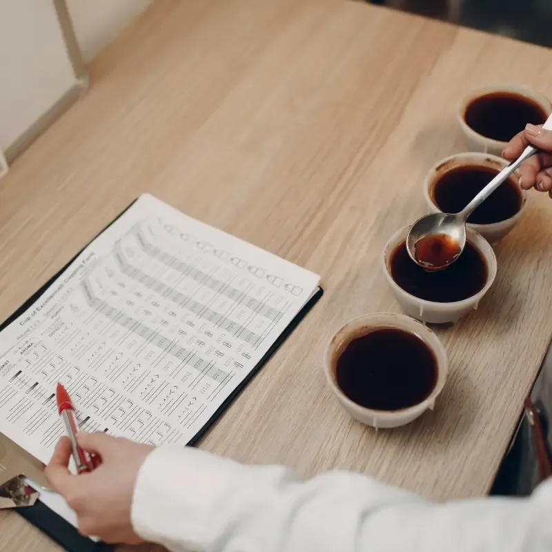 cupping - a coffee bean test