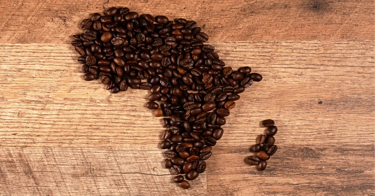African Coffee Production: Challenges and Opportunities for 2024
