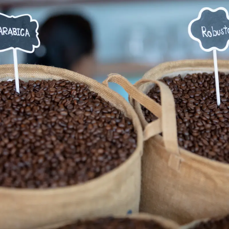 Two burlap bags with arabica and robusta