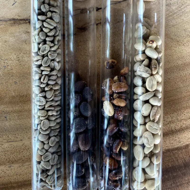 4 samples of different coffee beans at different roasting tages