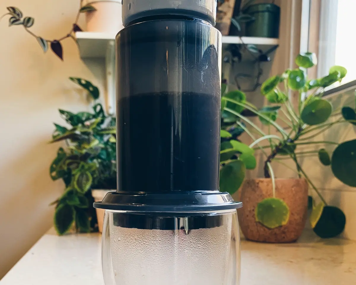 Aeropress brewing coffee beans into a bodum cup