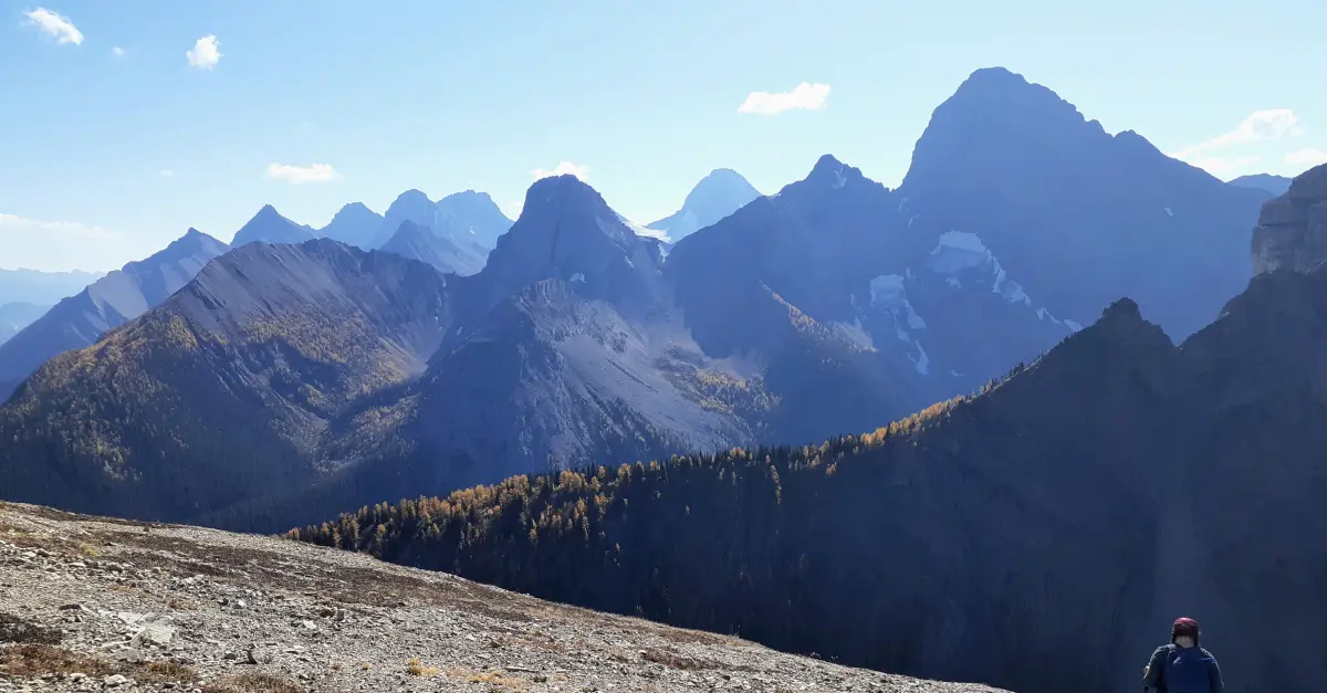 Power Up With These 10 Best Energy-Packed Coffees