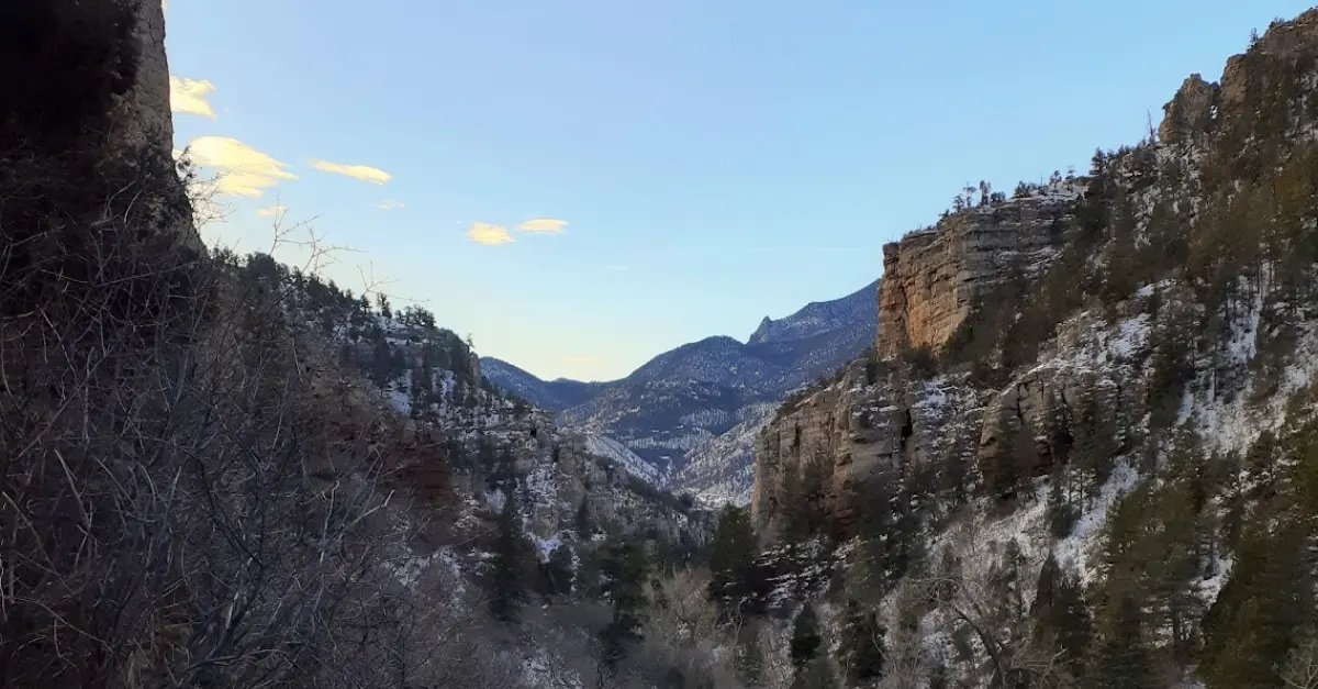 10 Best Coffee Shops in Colorado Springs: Coffee Bliss