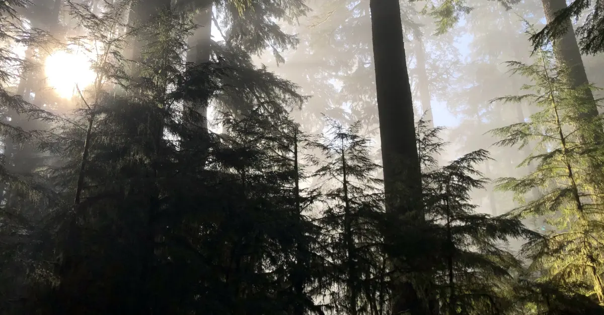 8 Best Coffee Shops in Eugene: Caffeine Heaven!