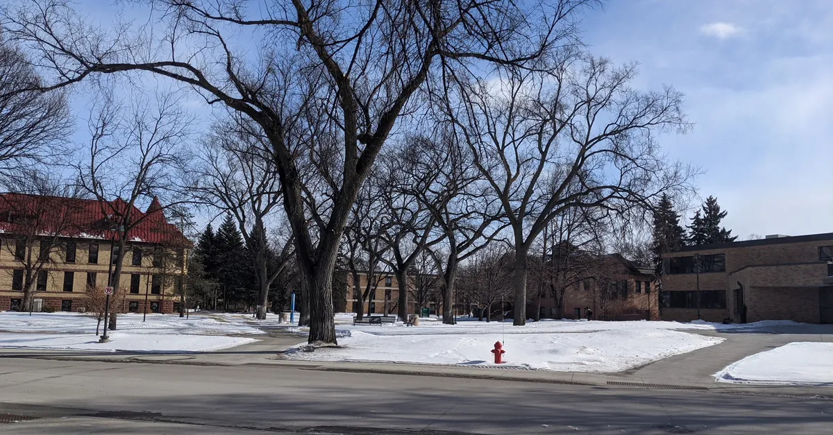 15 Best Coffee Shops in Fargo, North Dakota