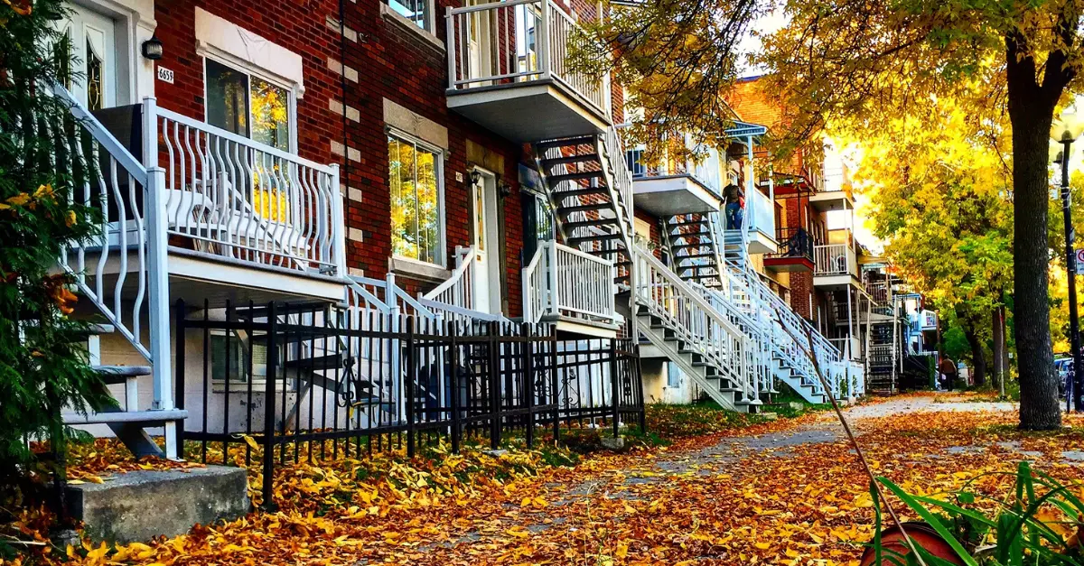 13 Best Coffee Shops in Montreal: La Crème de la Crème of Cafés