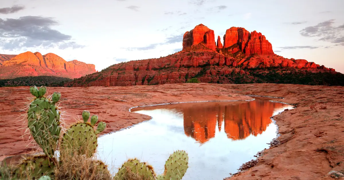 Brewing Serenity: The Best Coffee Shops in Sedona