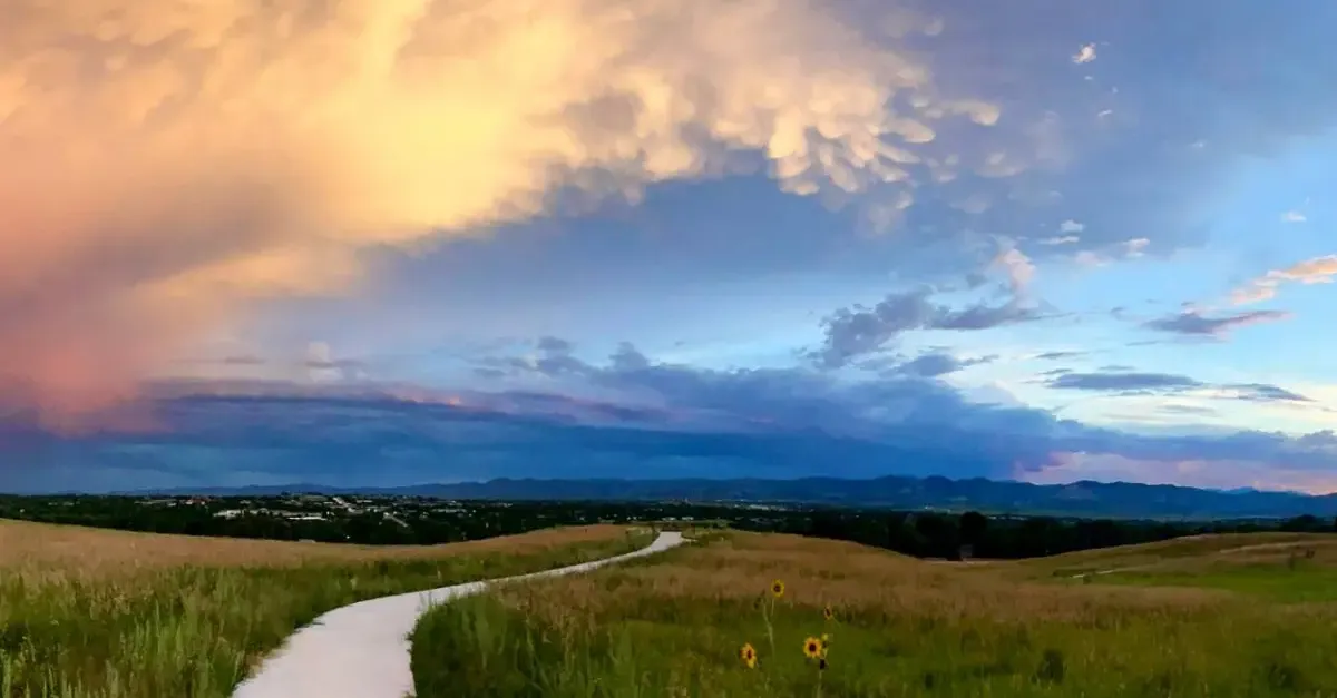 Top Sips: 10 Best Coffee Shops in Lakewood, Colorado