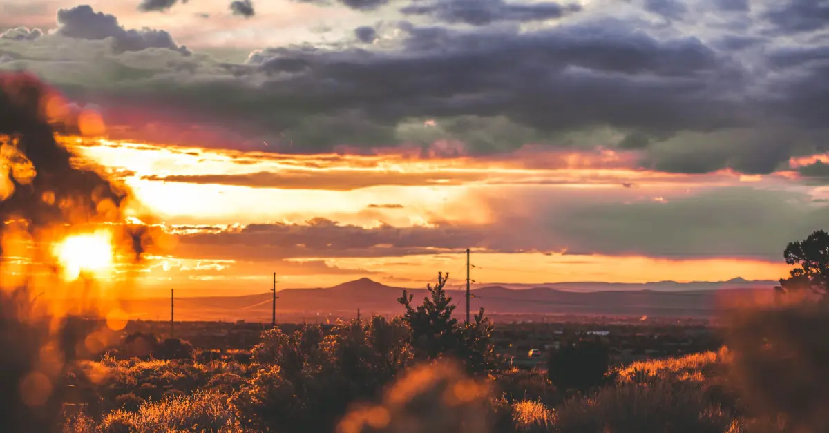 Santa Fe's Top 8 Coffee Spots: A Caffeine Lover's Guide