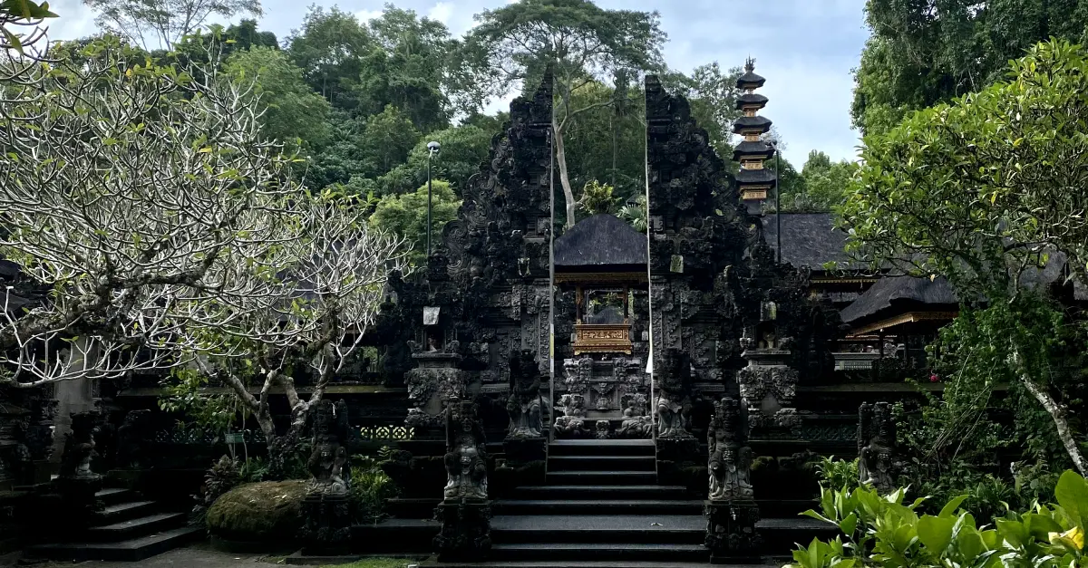 Espresso In Paradise: Ubud's Best Coffee Shops In Nature