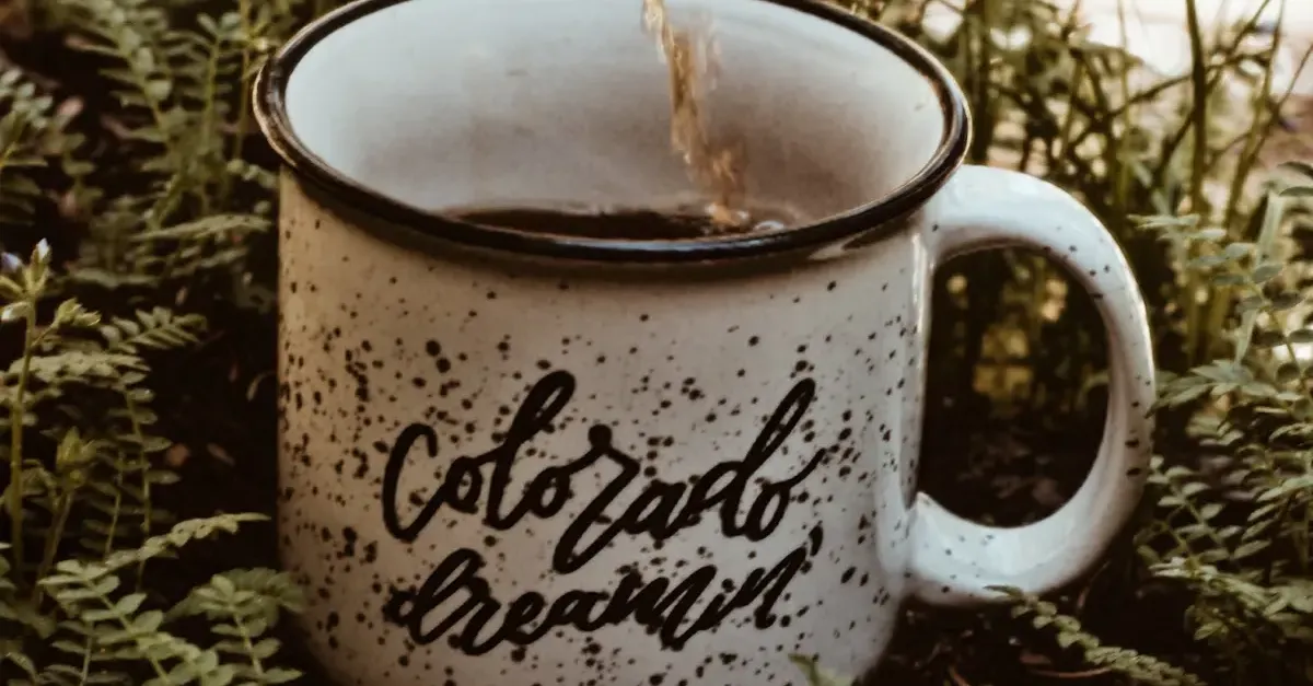 Golden Beans: 8 Best Coffee Shops in Westminster, Colorado