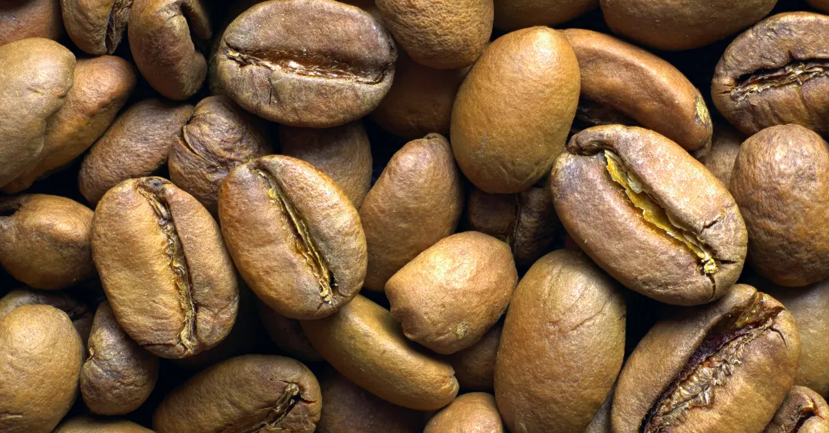 7 Best Light Roast Coffee: Illuminating Your Coffee Experience