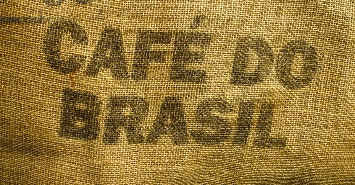 8 Best Brazilian Coffee Beans: The World’s Top-Selling Coffee