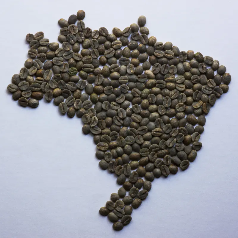 Coffee beans arranges in the shape of the Brazil's shape