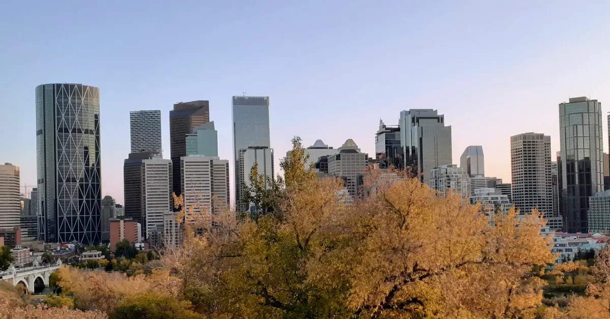 15 Best Calgary Coffee Shops: From Specialty Brews to Date Spots