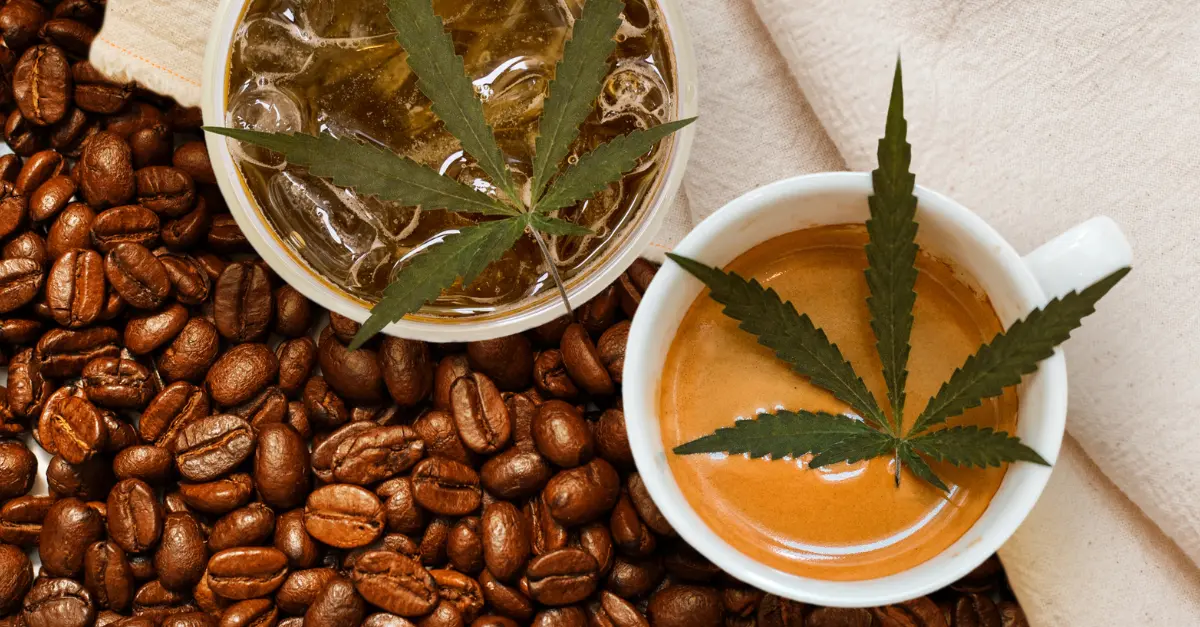 Jitter-Free Focus: 5 Premium CBD Oils for Your Coffee