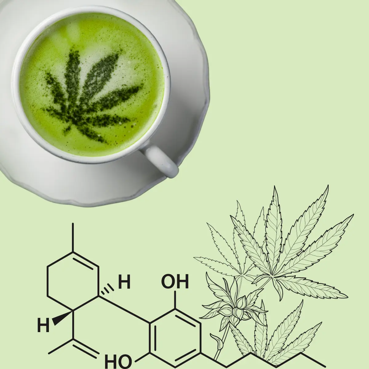 Cup of matcha latte with a cannabis leaf, the chemical formula of CBD and a graphic of a canabis leaf