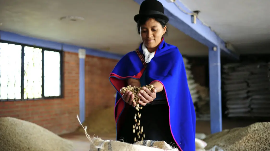 The True Coffee Costs: From Farms to Your Cup