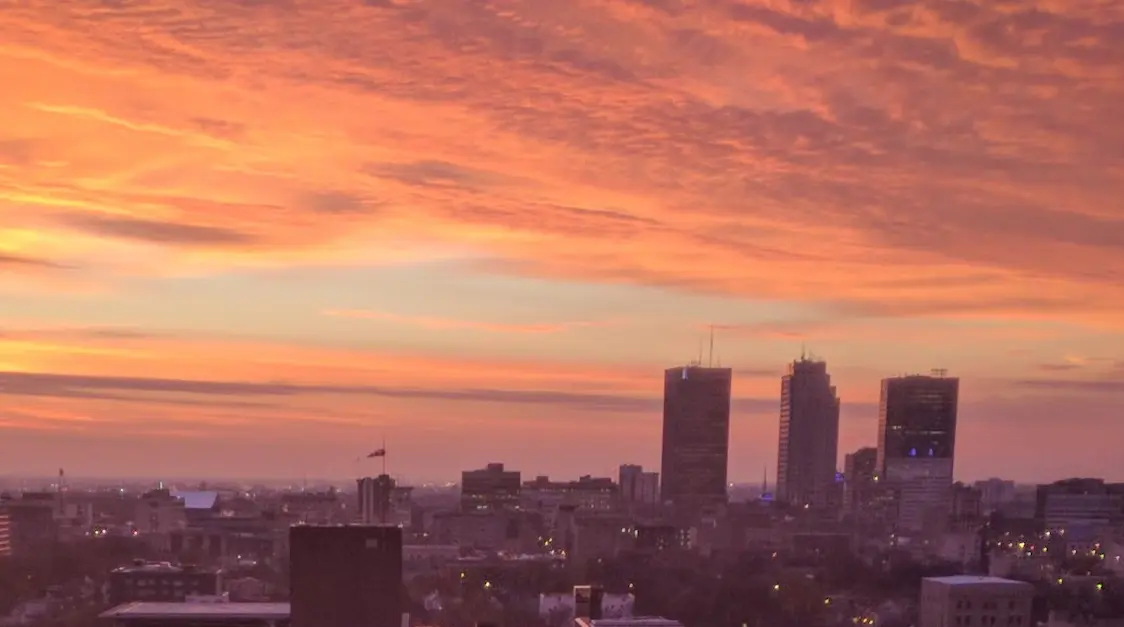 A Guide to 7 Best Coffee Shops in Winnipeg