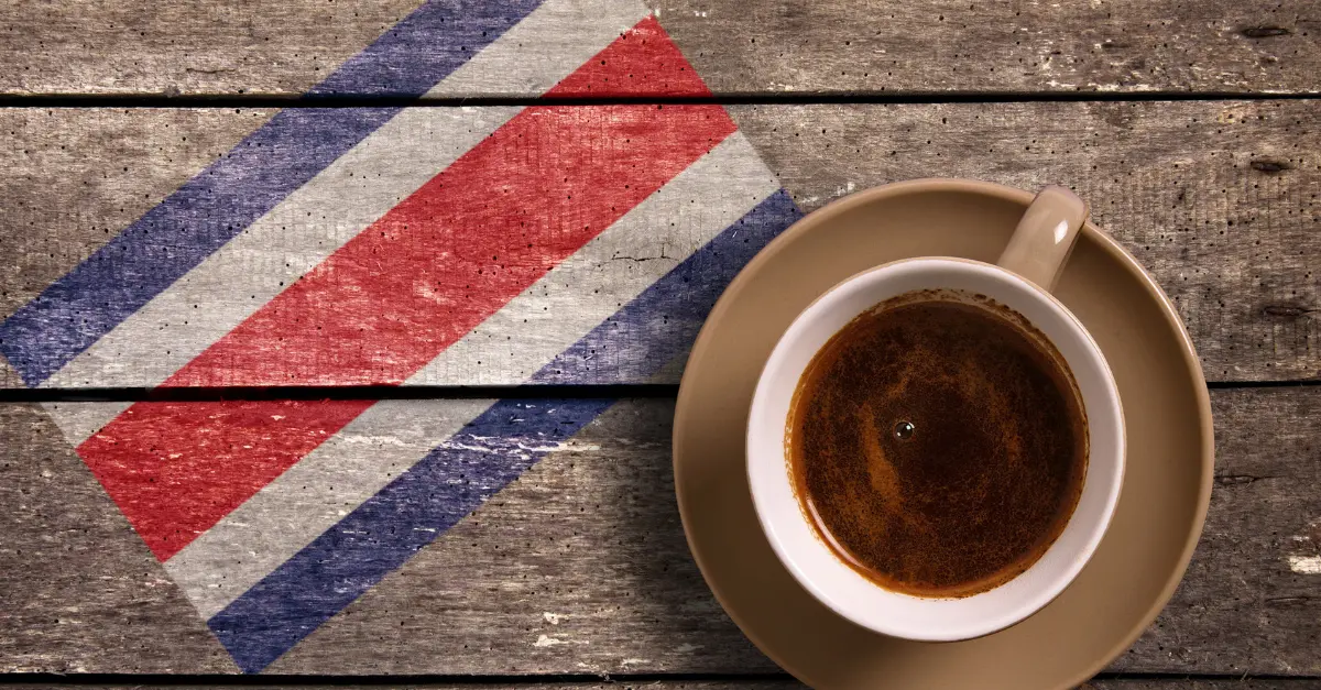 8 Best Costa Rica Coffee: The Market’s Underdog
