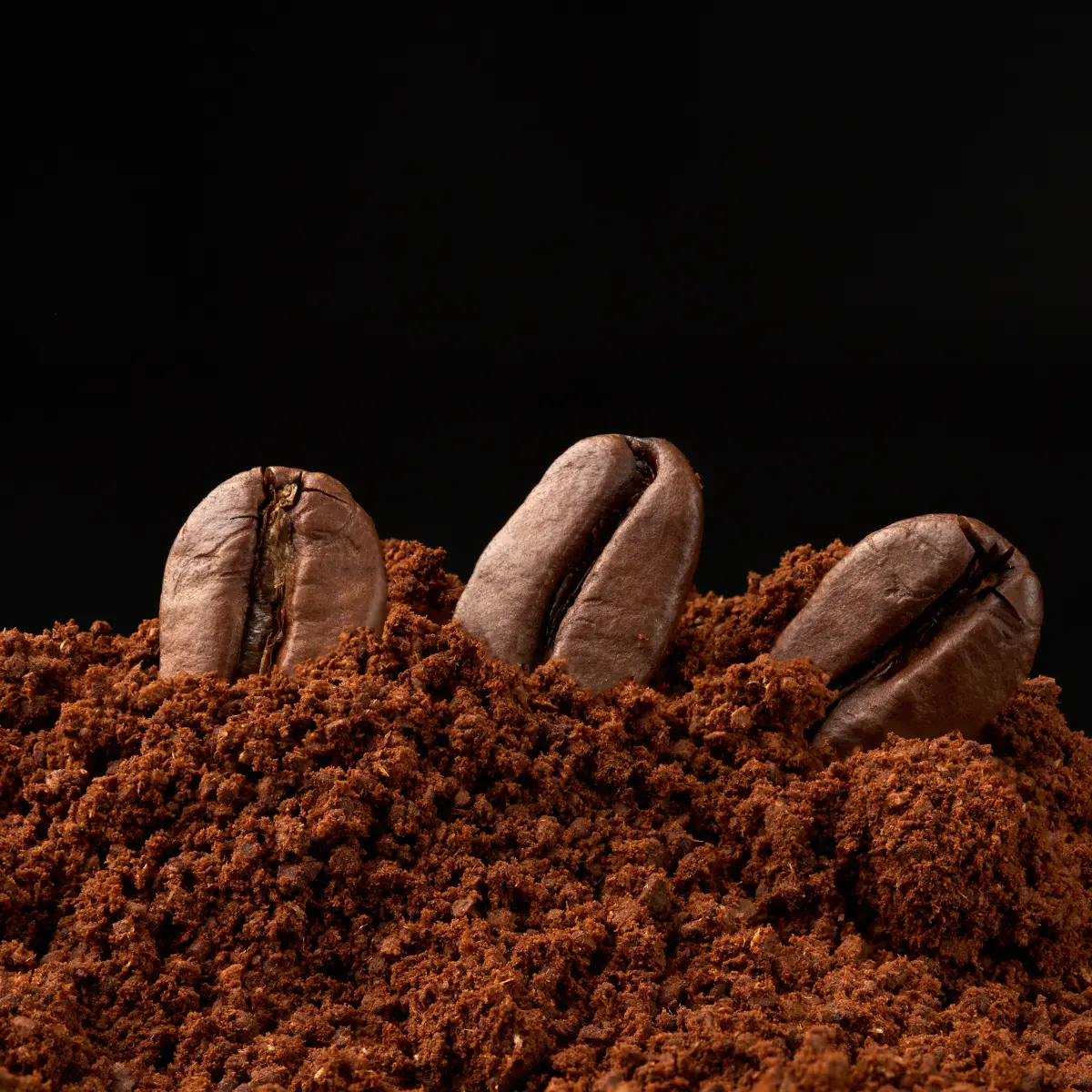 Detail shot of coffee beans