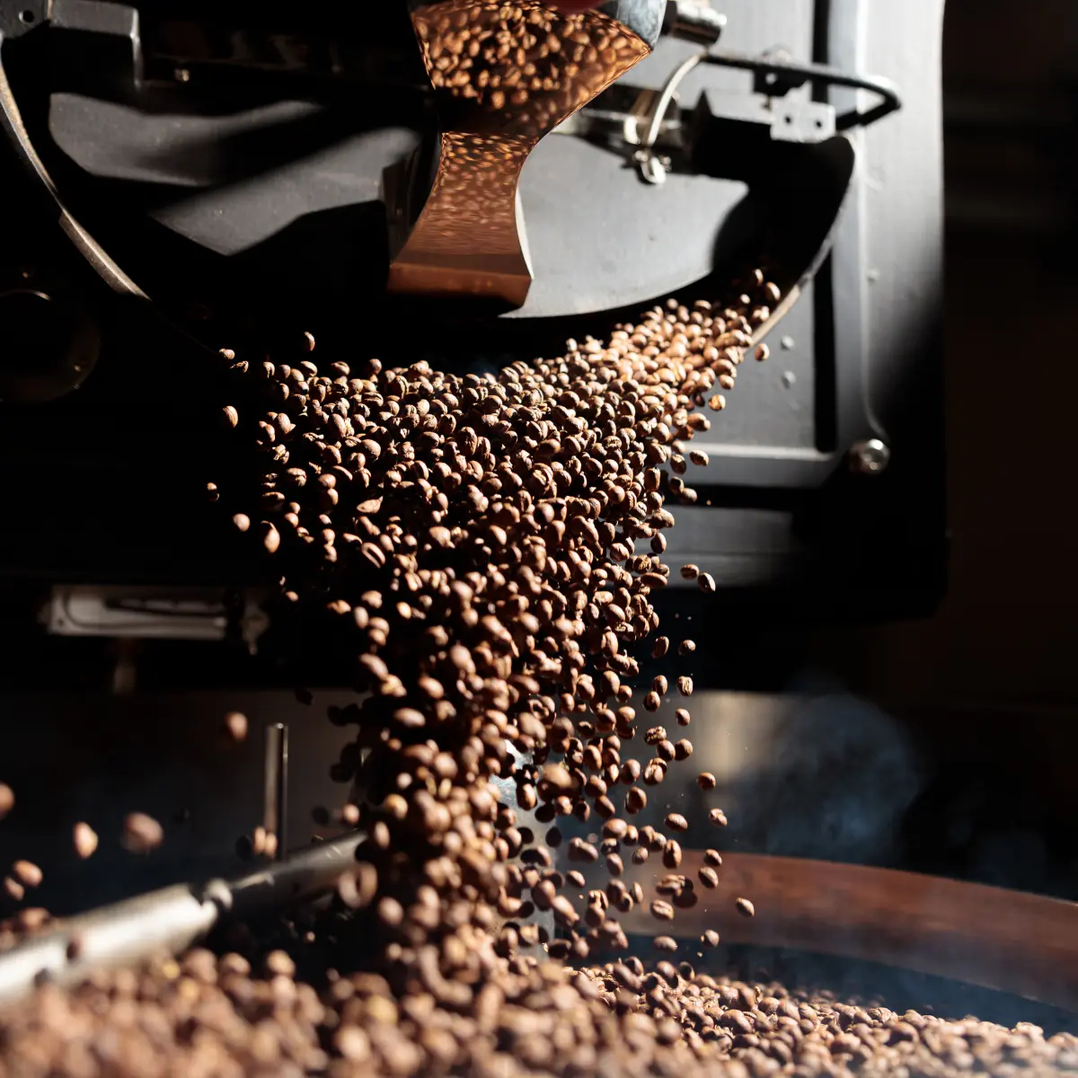 Coffee beans falling from a roasting machine