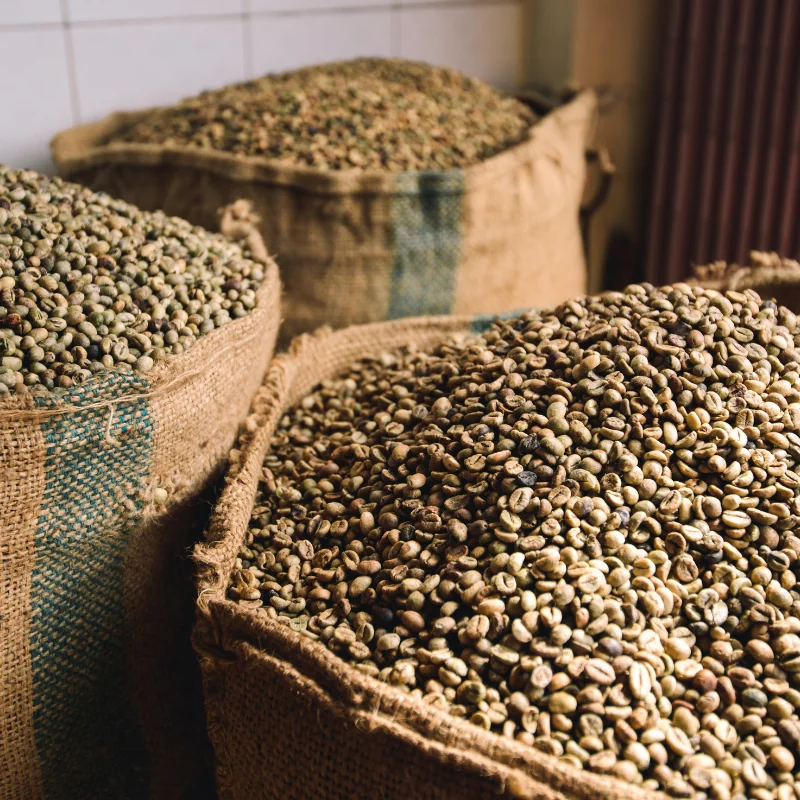 Coffee beans in burlap bags