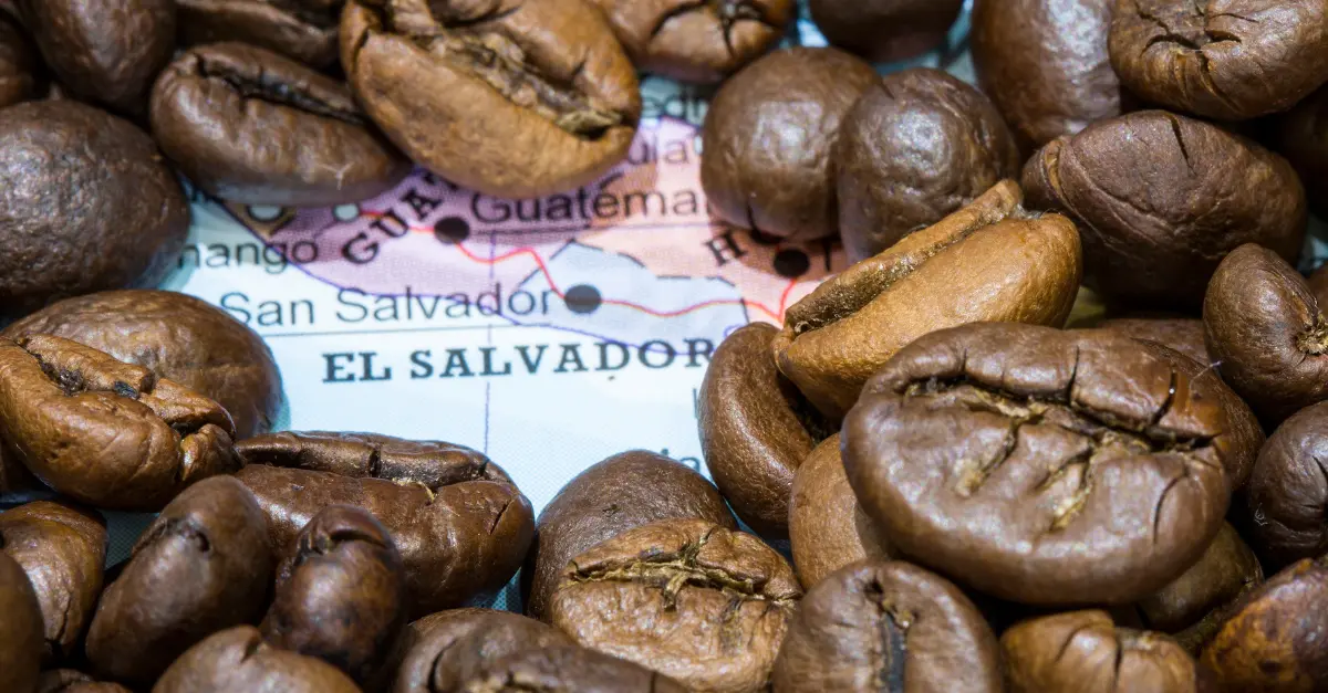 8 Best El Salvador's Coffee: Resilience in a Brew
