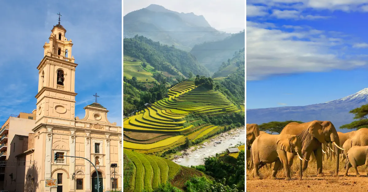 Coffee Production in El Salvador, Vietnam & Tanzania (2024)