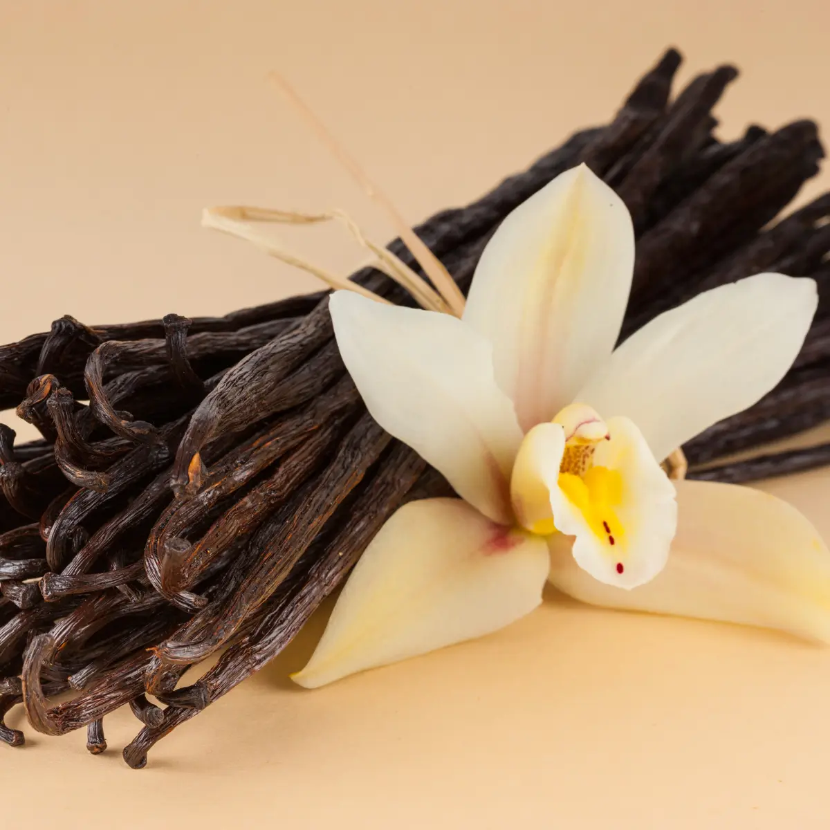 vanilla beans and vanilla flower