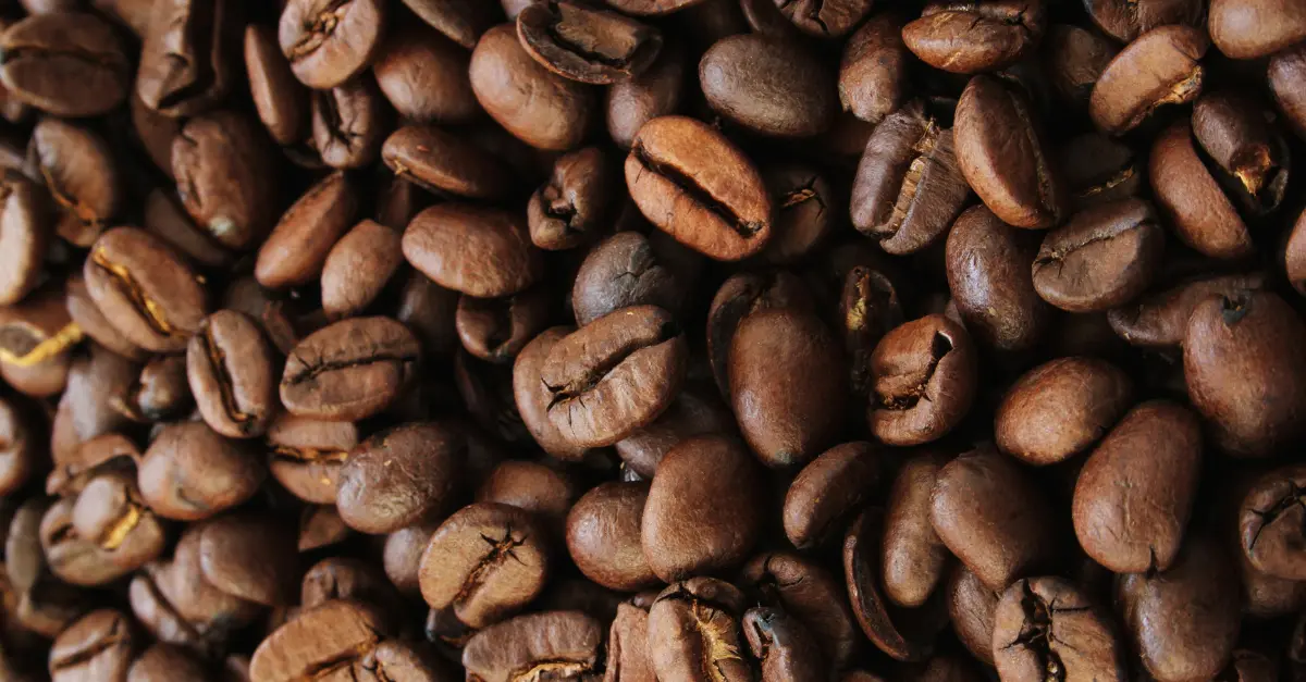 Full City vs City Coffee: The Art and Science of Coffee Roasting