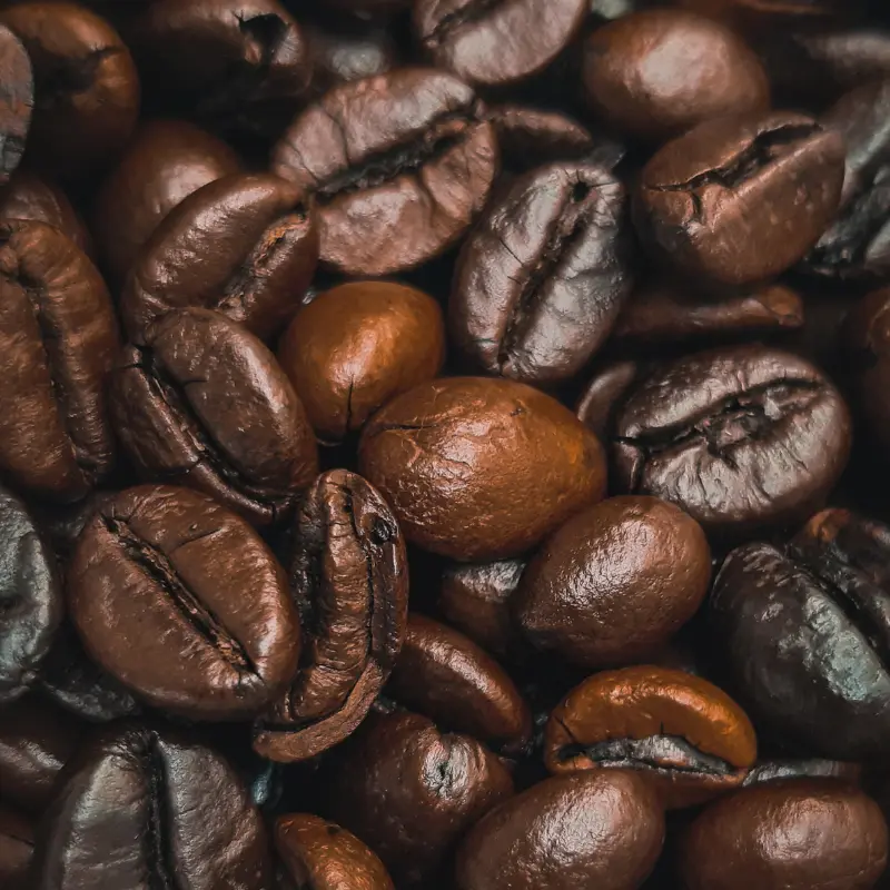 Dark Roasted Coffee Beans
