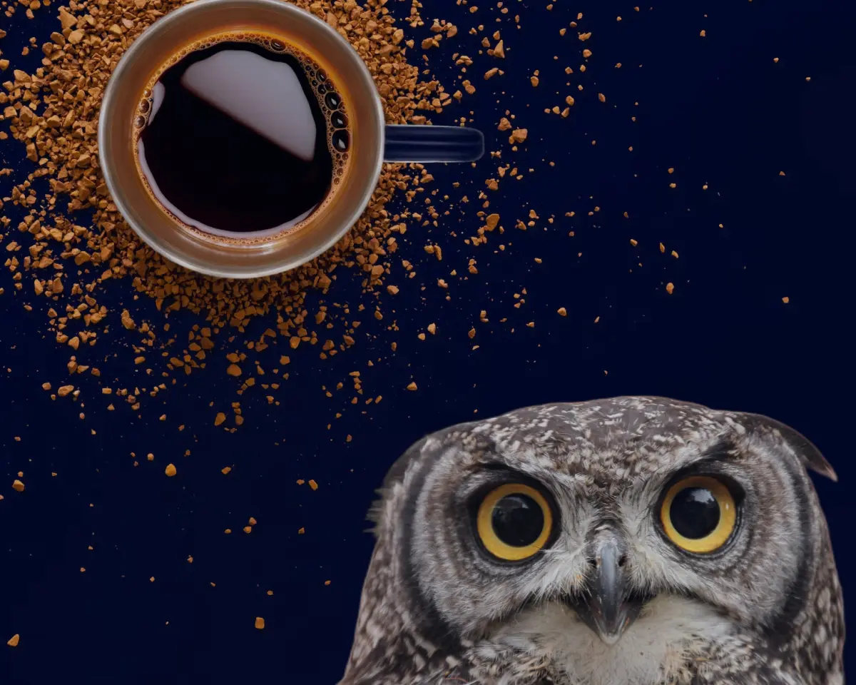 Owl beside a coffee