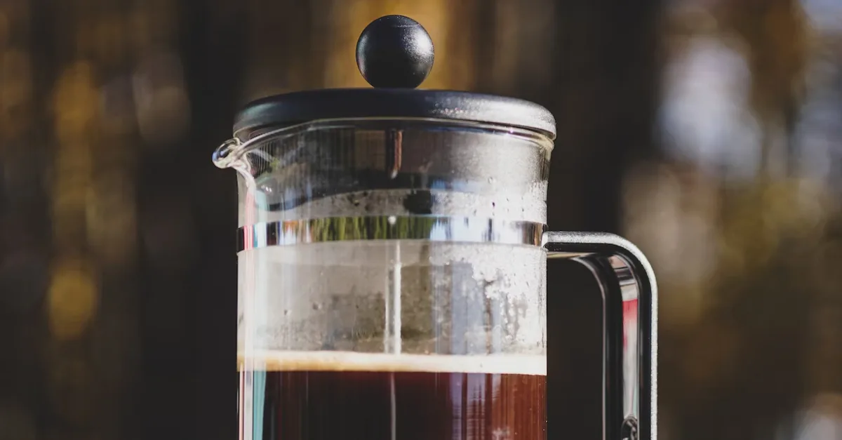 Go Big: 6 Best Large (50oz+) French Presses in 2024